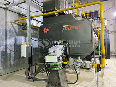 Caldera de gas ZOZEN de 6000 kg en la planta del cliente