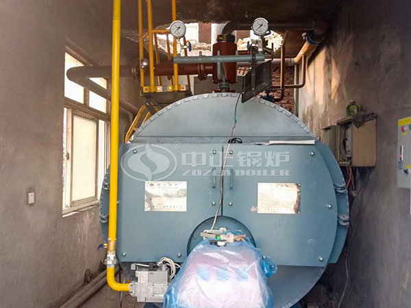 WNS serie de caldera de agua caliente de gas(diesel)