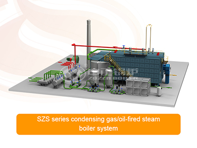 El diagrama del sistema de caldera de gas de condensación de la serie ZOZEN SZS