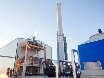 Sitio del Proyecto de Generación de Energía con Caldera de Biomasa de 1500 KW en Aksaray, Turquía