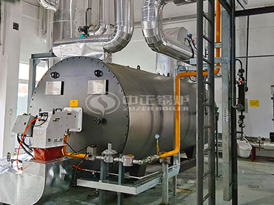 ZOZEN Boiler proporciona el calentador de aceite térmico a gas para la empresa multinacional