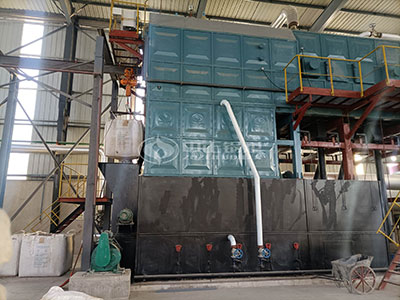 Caldera de biomasa de 15 toneladas