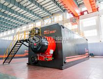 Caldera de Paquete de Vapor de Doble Domos