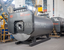 Caldera de aceite de transferencia de calor 1000 kg/hr