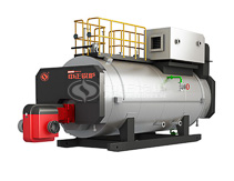 WNS Caldera de Vapor de Gas de Condensaci&oacute;n