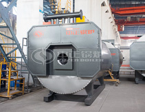 Bolivia caldera de aceite de transferencia de calor 3000kg/hr