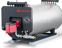 Caldera de aceite t&eacute;rmico de Chile 10000 kg/hr