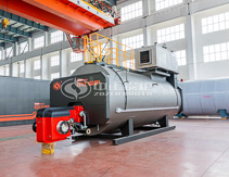 Caldera de vapor de gas aceite de la serie WNS
