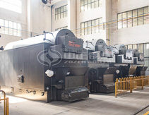 Procesamiento de conservas con caldera de biomasa de 4000 kg/hr en Argentina